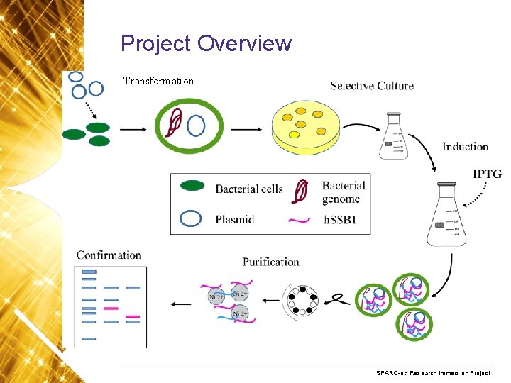 Project Overview Transformation Name. Research of presentation Month 2008 SPARQ-ed Immersion Project 