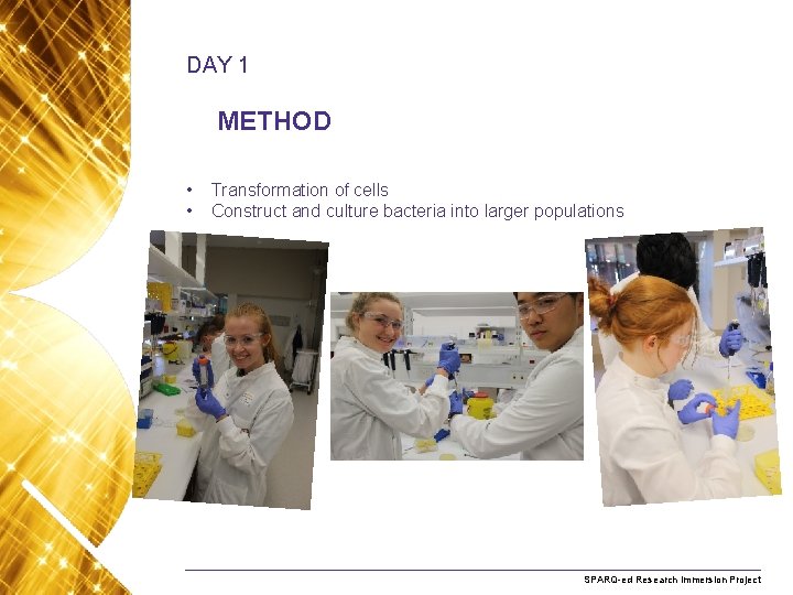 DAY 1 METHOD • • Transformation of cells Construct and culture bacteria into larger