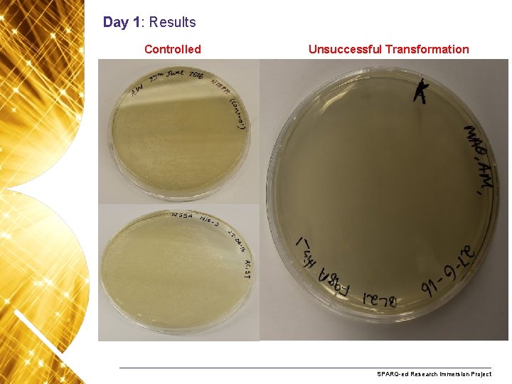 Day 1: Results Controlled Unsuccessful Transformation Name. Research of presentation Month 2008 SPARQ-ed Immersion