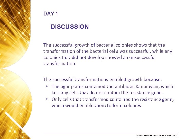 DAY 1 DISCUSSION The successful growth of bacterial colonies shows that the transformation of