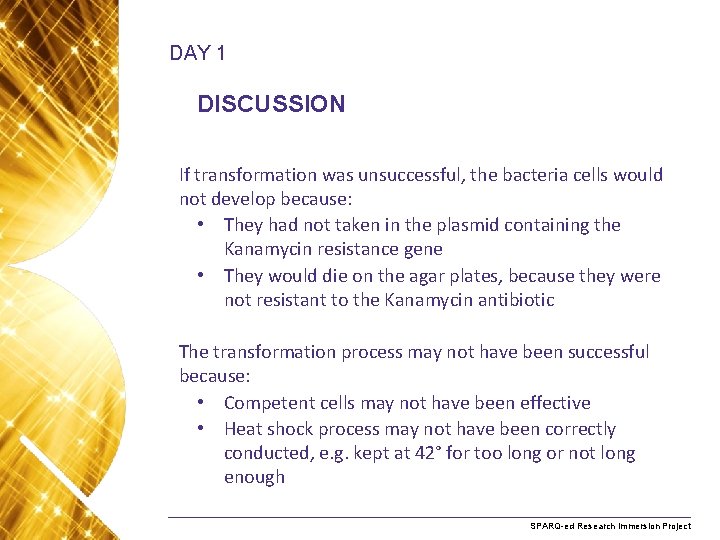 DAY 1 DISCUSSION If transformation was unsuccessful, the bacteria cells would not develop because: