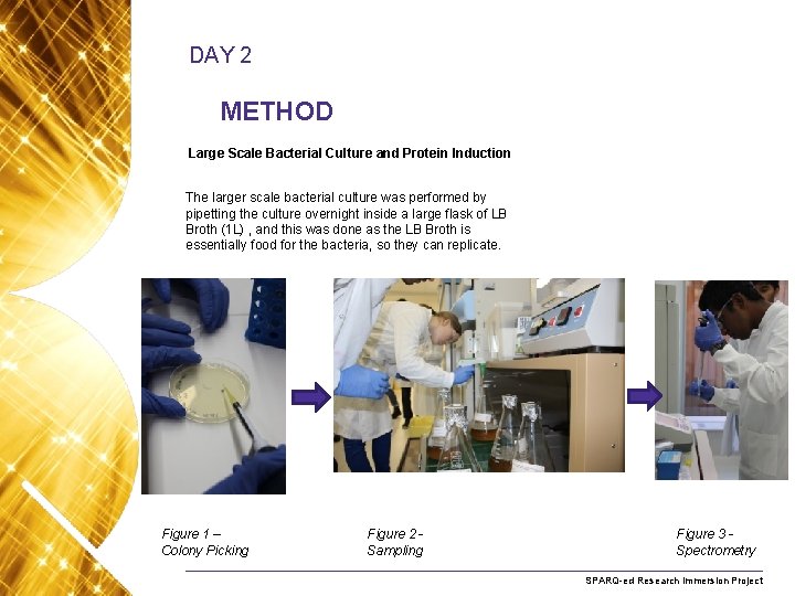 DAY 2 METHOD Large Scale Bacterial Culture and Protein Induction The larger scale bacterial