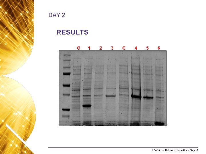 DAY 2 RESULTS Name. Research of presentation Month 2008 SPARQ-ed Immersion Project 