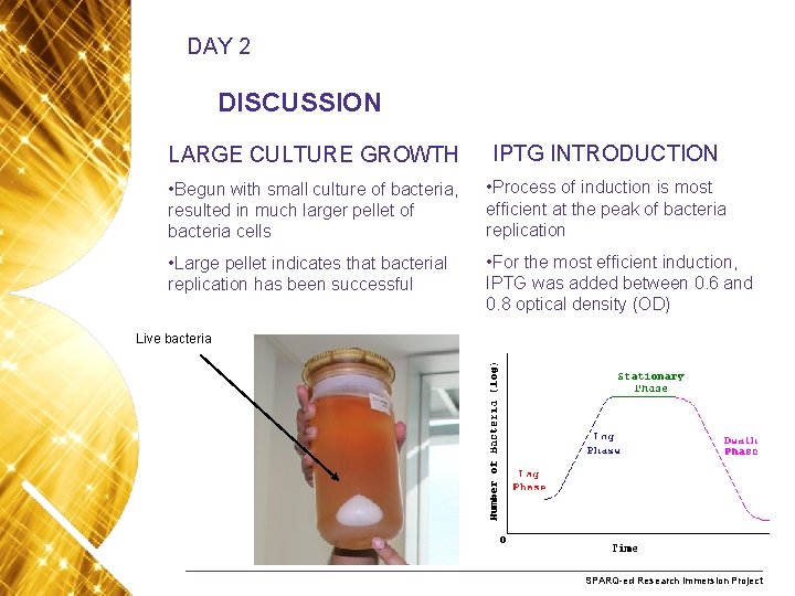 DAY 2 DISCUSSION LARGE CULTURE GROWTH IPTG INTRODUCTION • Begun with small culture of