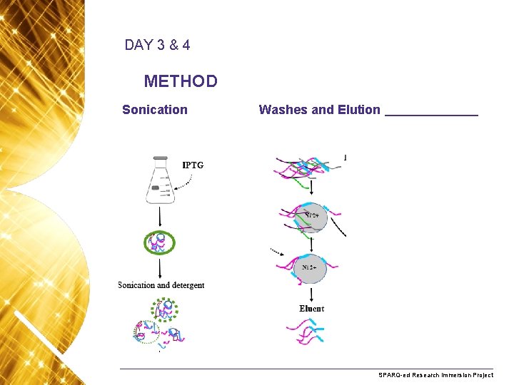 DAY 3 & 4 METHOD Sonication Washes and Elution Name. Research of presentation Month