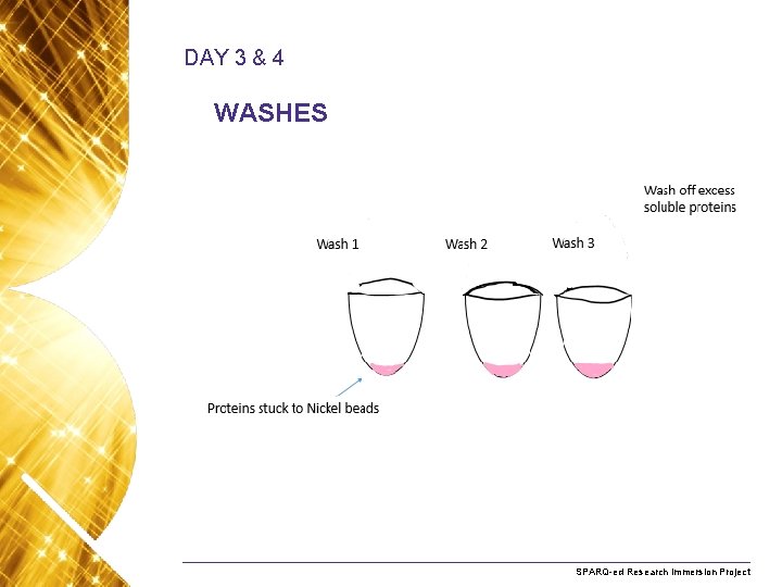 DAY 3 & 4 WASHES Name. Research of presentation Month 2008 SPARQ-ed Immersion Project