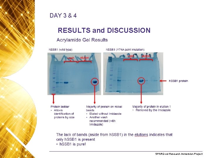 DAY 3 & 4 RESULTS and DISCUSSION Name. Research of presentation Month 2008 SPARQ-ed