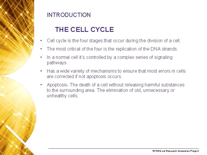 INTRODUCTION THE CELL CYCLE • Cell cycle is the four stages that occur during