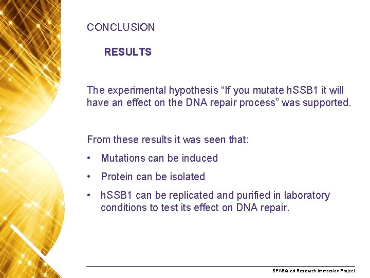 CONCLUSION RESULTS The experimental hypothesis “If you mutate h. SSB 1 it will have