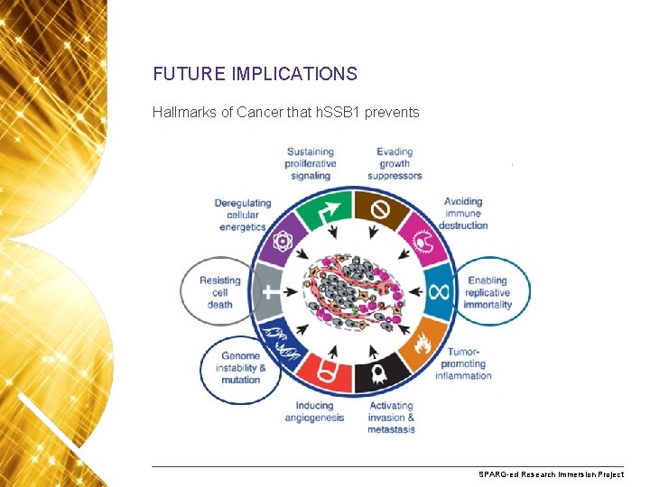 FUTURE IMPLICATIONS Hallmarks of Cancer that h. SSB 1 prevents Name. Research of presentation