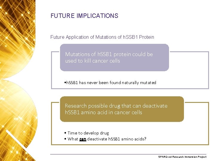 FUTURE IMPLICATIONS Future Application of Mutations of h. SSB 1 Protein Mutations of h.