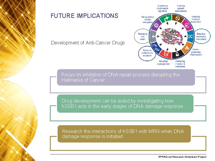 FUTURE IMPLICATIONS Development of Anti-Cancer Drugs Focus on inhibition of DNA repair process disrupting