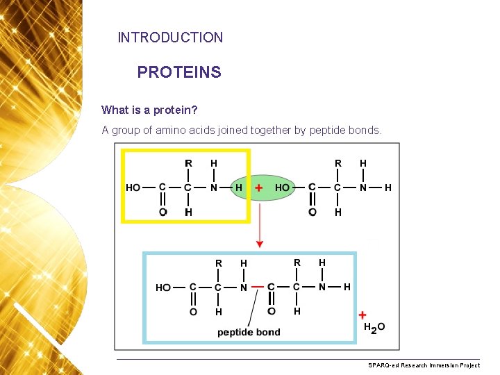 INTRODUCTION PROTEINS What is a protein? A group of amino acids joined together by