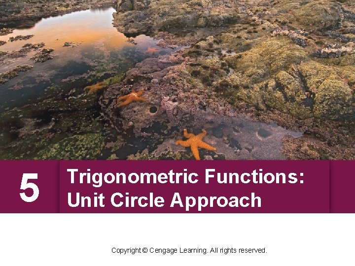 5 Trigonometric Functions: Unit Circle Approach Copyright © Cengage Learning. All rights reserved. 