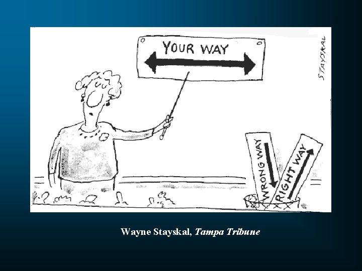 Wayne Stayskal, Tampa Tribune 