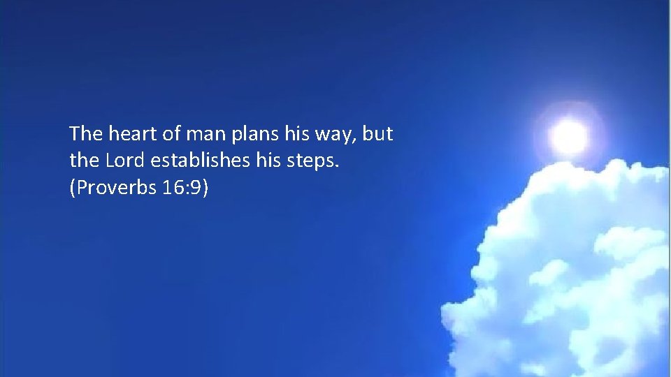 The heart of man plans his way, but the Lord establishes his steps. (Proverbs