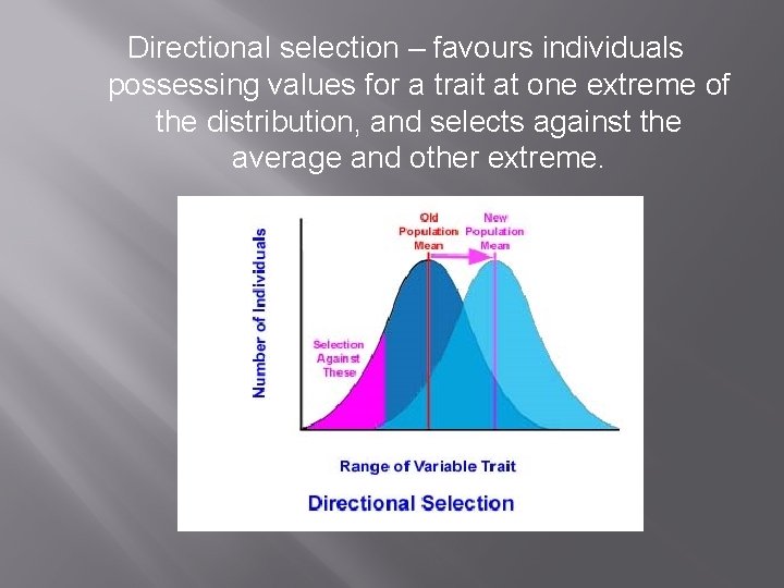 Directional selection – favours individuals possessing values for a trait at one extreme of