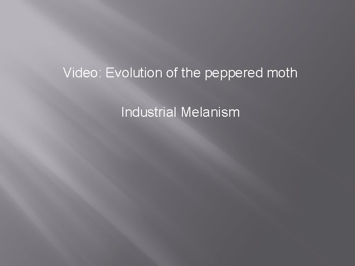 Video: Evolution of the peppered moth Industrial Melanism 