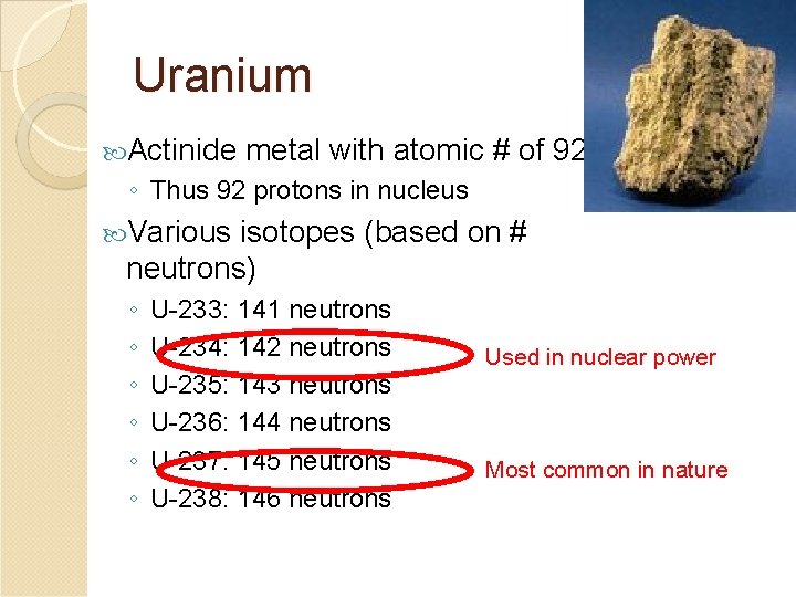Uranium Actinide metal with atomic # of 92. ◦ Thus 92 protons in nucleus