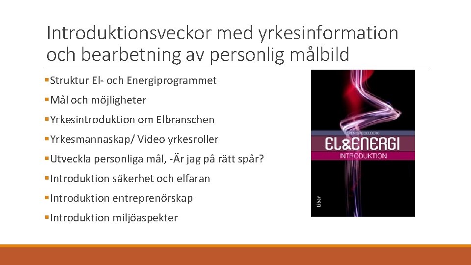 Introduktionsveckor med yrkesinformation och bearbetning av personlig målbild §Struktur El- och Energiprogrammet §Mål och