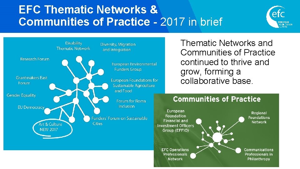 EFC Thematic Networks & Communities of Practice - 2017 in brief Thematic Networks and