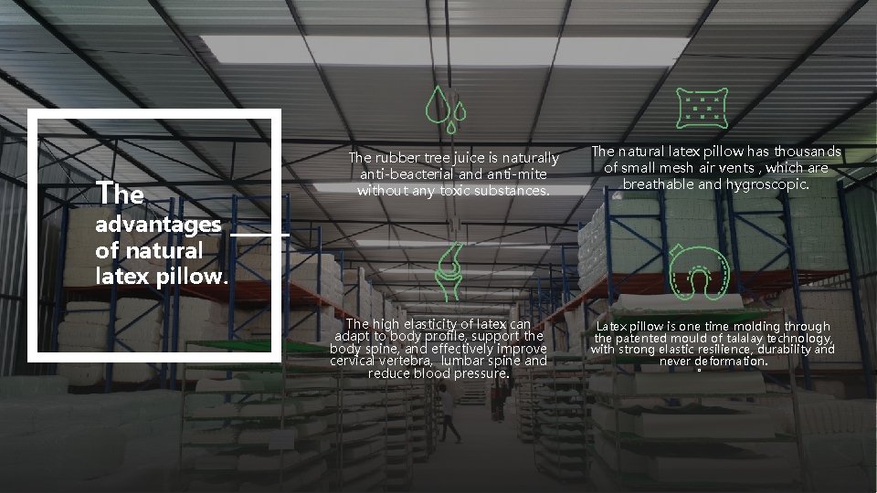 The rubber tree juice is naturally anti-beacterial and anti-mite without any toxic substances. The