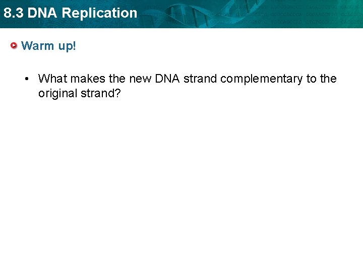 8. 3 DNA Replication Warm up! • What makes the new DNA strand complementary