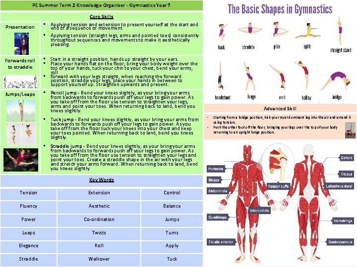 PE Summer Term 2 Knowledge Organiser - Gymnastics Year 7 Presentation Forwards roll to