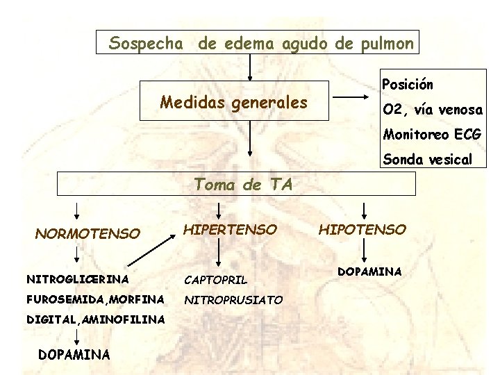 Sospecha de edema agudo de pulmon Medidas generales Posición O 2, vía venosa Monitoreo Sospecha de edema agudo de pulmon Medidas generales Posición O 2, vía venosa Monitoreo