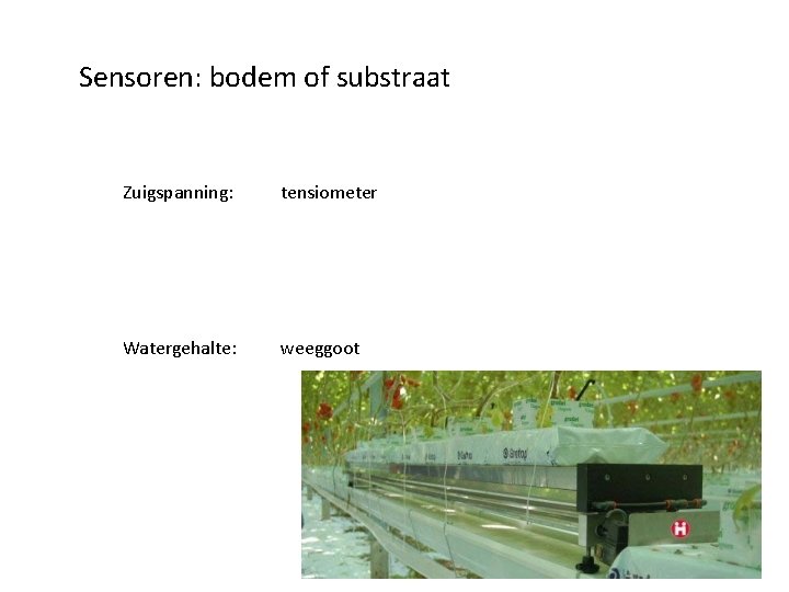 Sensoren: bodem of substraat Zuigspanning: tensiometer Watergehalte: weeggoot WET sensor 