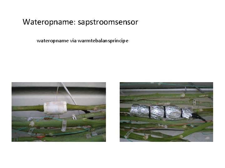 Wateropname: sapstroomsensor wateropname via warmtebalansprincipe 