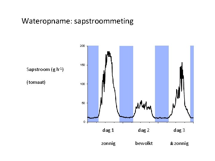 Wateropname: sapstroommeting 200 Sapstroom (tomaat) (g h-1) 150 100 50 0 dag 1 dag