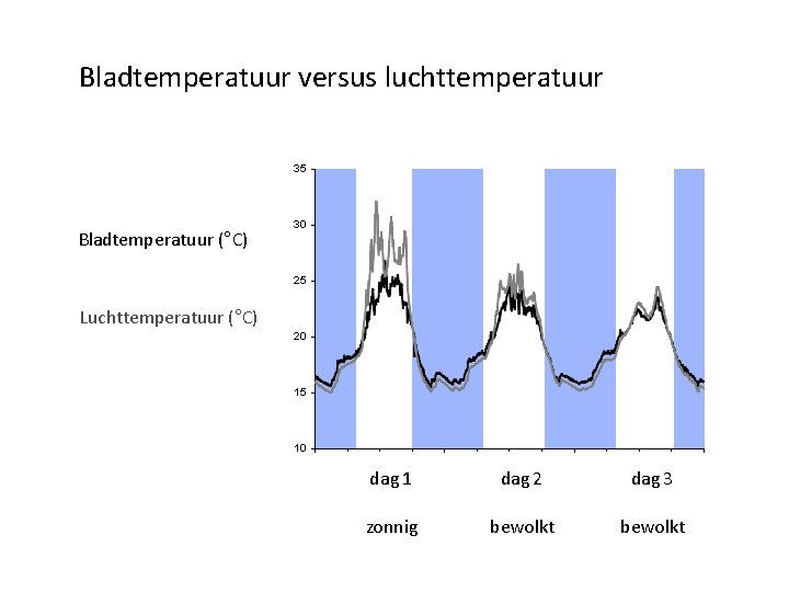 Bladtemperatuur versus luchttemperatuur 35 Bladtemperatuur (°C) 30 25 Luchttemperatuur (°C) 20 15 10 dag