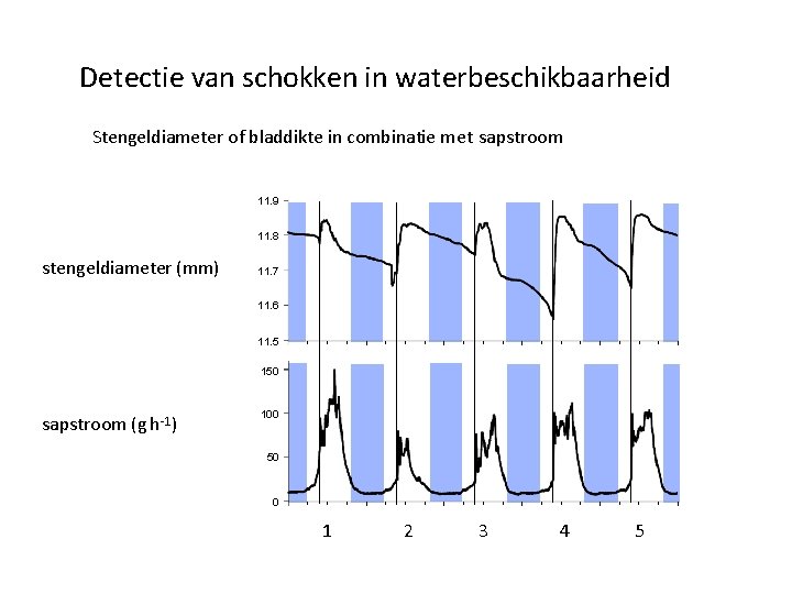 Detectie van schokken in waterbeschikbaarheid Stengeldiameter of bladdikte in combinatie met sapstroom 11. 9