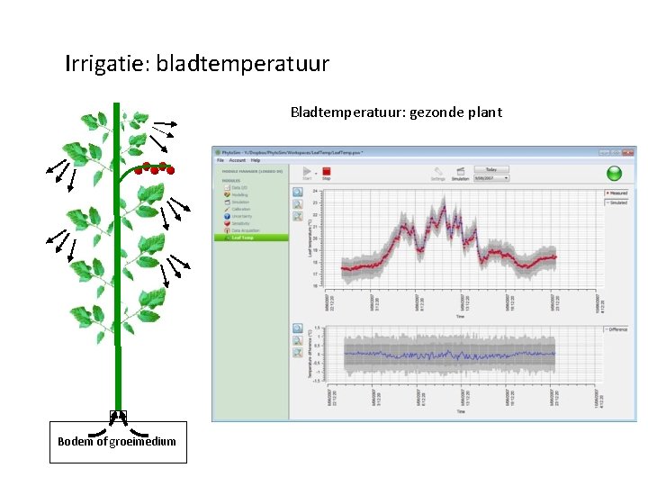 Irrigatie: bladtemperatuur Bladtemperatuur: gezonde plant Bodem of groeimedium 