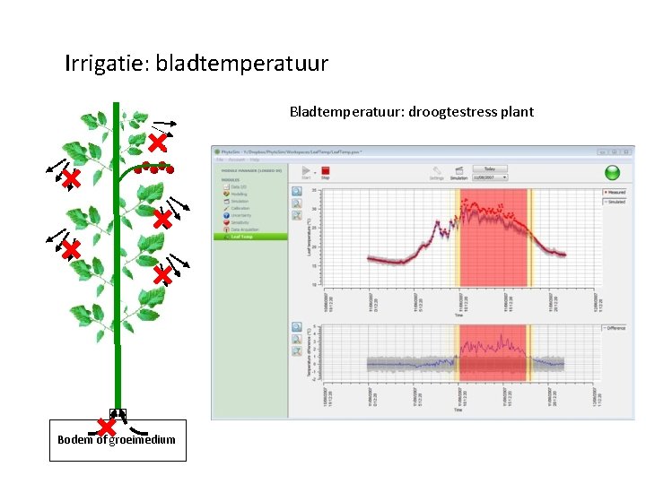 Irrigatie: bladtemperatuur Bladtemperatuur: droogtestress plant Bodem of groeimedium 