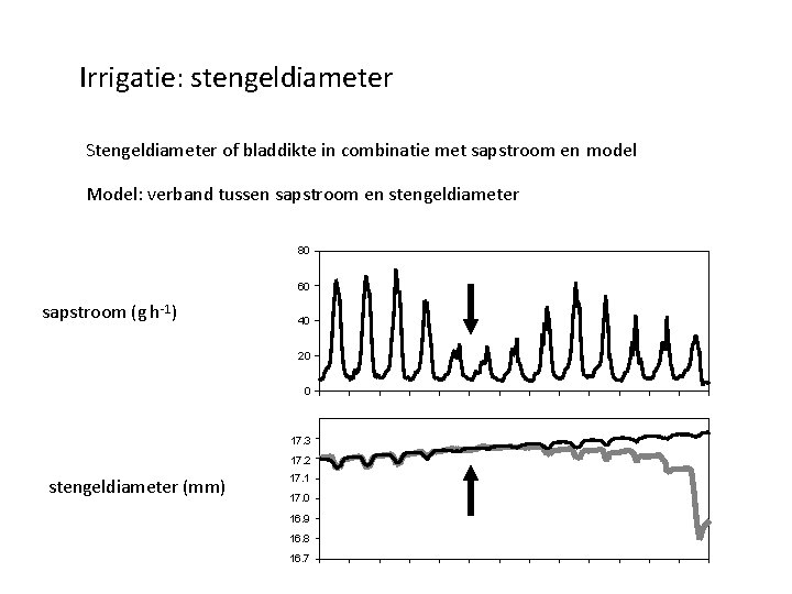 Irrigatie: stengeldiameter Stengeldiameter of bladdikte in combinatie met sapstroom en model Model: verband tussen