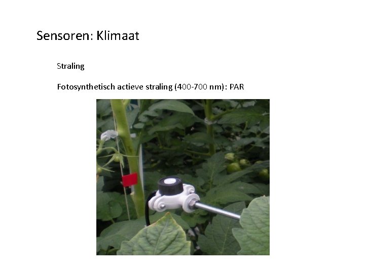 Sensoren: Klimaat Straling Fotosynthetisch actieve straling (400 -700 nm): PAR 