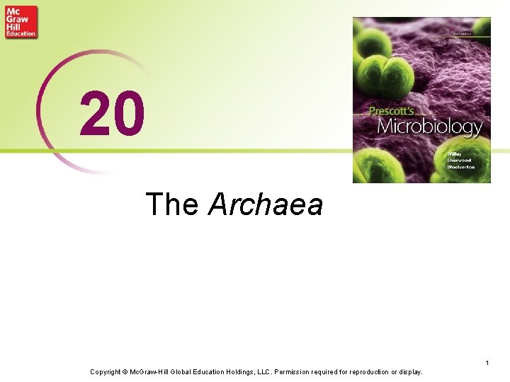 20 The Archaea 1 Copyright © Mc. Graw-Hill Global Education Holdings, LLC. Permission required