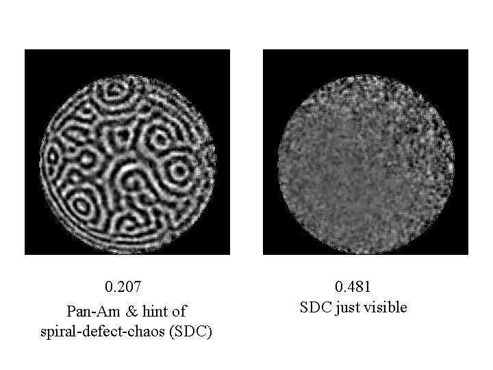 0. 207 Pan-Am & hint of spiral-defect-chaos (SDC) 0. 481 SDC just visible 