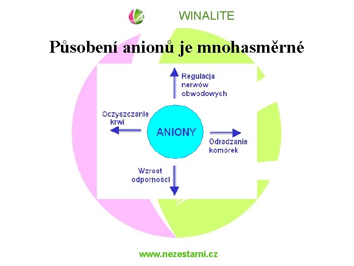 WINALITE Působení anionů je mnohasměrné www. nezestarni. cz 