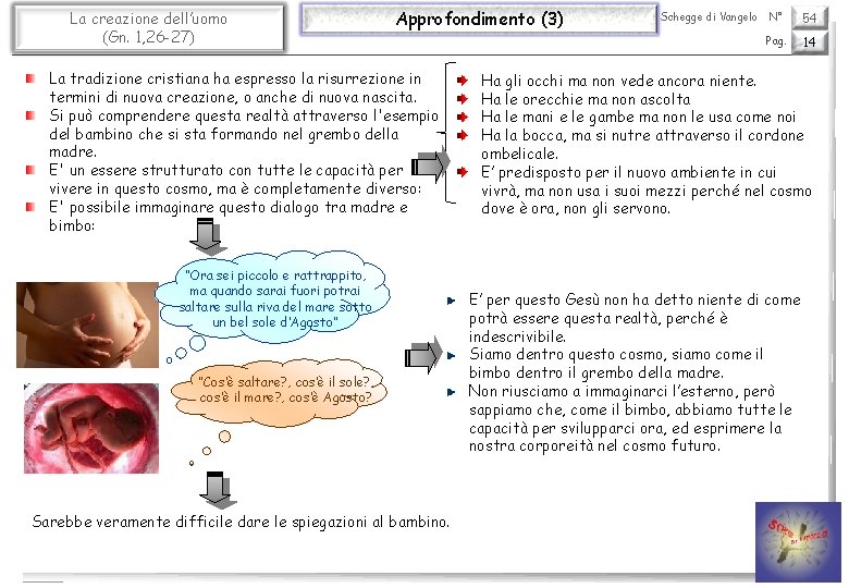 La creazione dell’uomo (Gn. 1, 26 -27) Approfondimento (3) La tradizione cristiana ha espresso