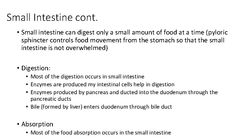 Small Intestine cont. • Small intestine can digest only a small amount of food
