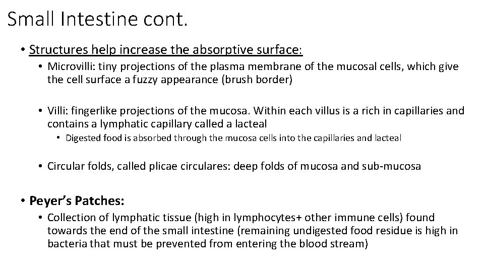 Small Intestine cont. • Structures help increase the absorptive surface: • Microvilli: tiny projections