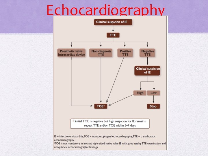 Echocardiography Echocardiography