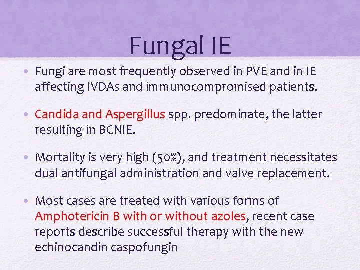 Fungal IE • Fungi are most frequently observed in PVE and in IE affecting Fungal IE • Fungi are most frequently observed in PVE and in IE affecting