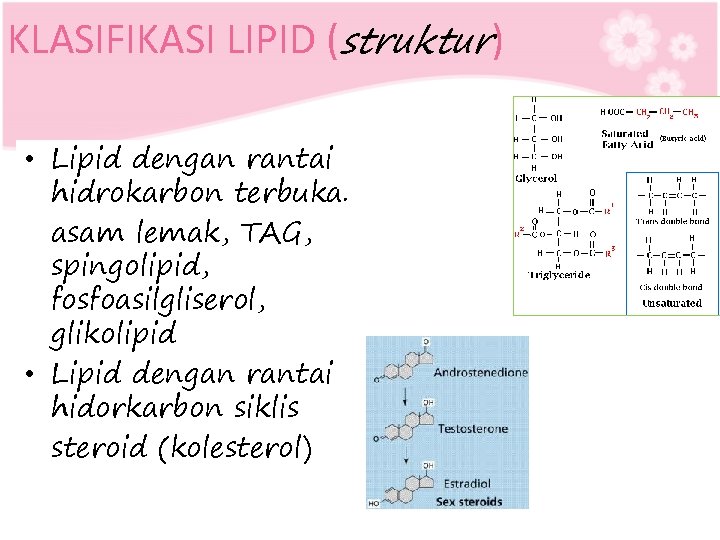 KLASIFIKASI LIPID (struktur) • Lipid dengan rantai hidrokarbon terbuka. asam lemak, TAG, spingolipid, fosfoasilgliserol,