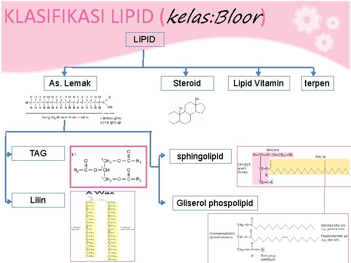 KLASIFIKASI LIPID (kelas: Bloor) LIPID As. Lemak Steroid Lipid Vitamin TAG sphingolipid Lilin Gliserol