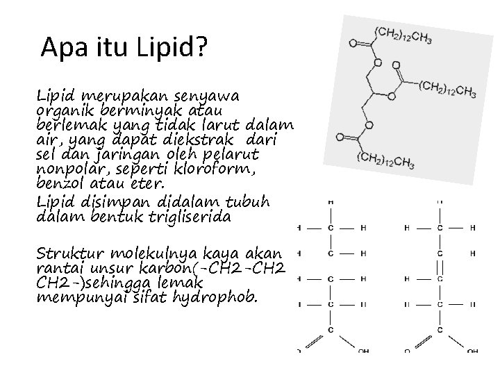 Apa itu Lipid? Lipid merupakan senyawa organik berminyak atau berlemak yang tidak larut dalam