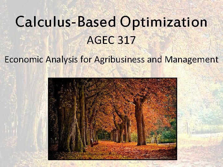 Calculus-Based Optimization AGEC 317 Economic Analysis for Agribusiness and Management 
